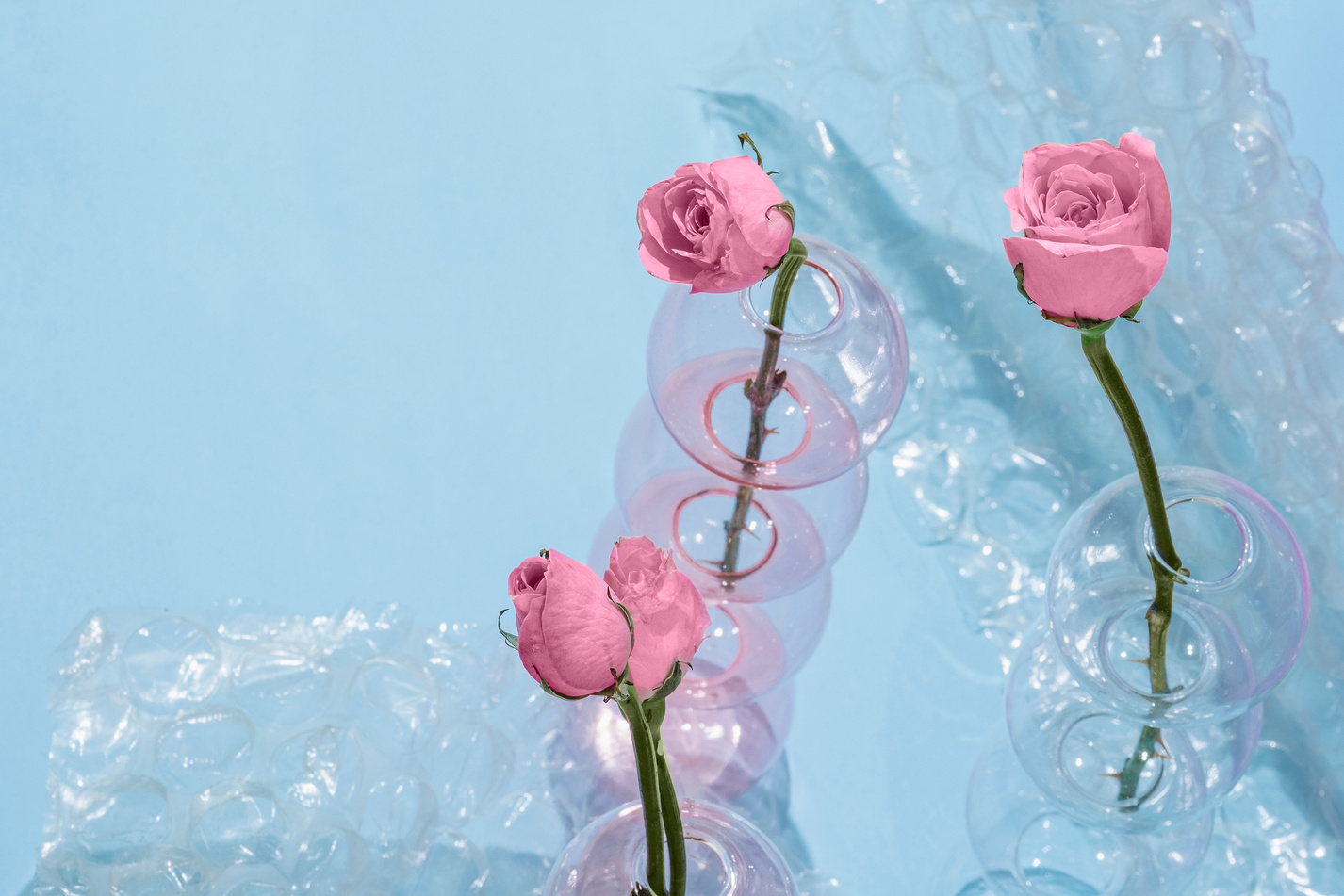 Pink Roses in Glass Vases with Bubble Wrap